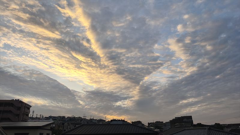 芒種