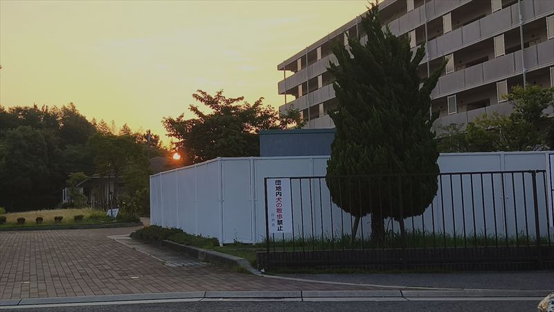 夏・梅雨明け