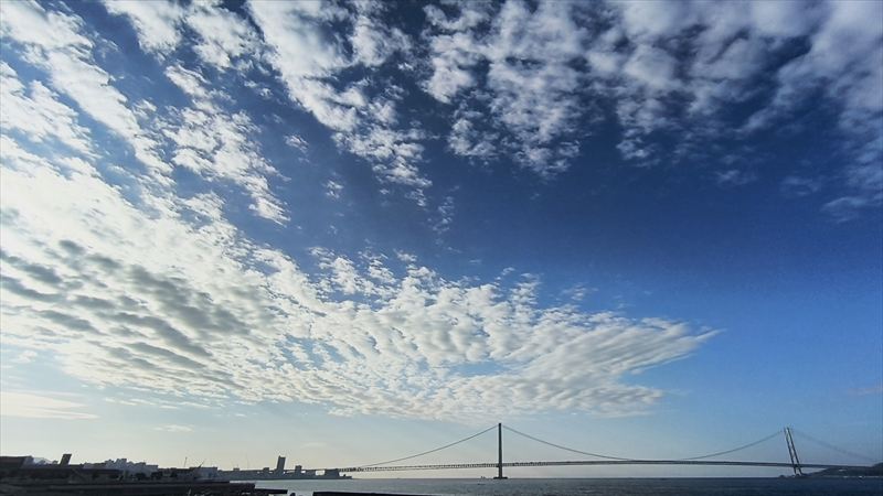 夏の朝のサイクリング