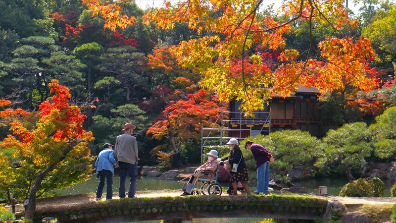 秋景色・相楽園