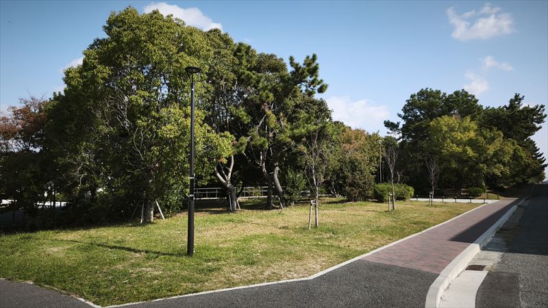 立冬 アラカルト