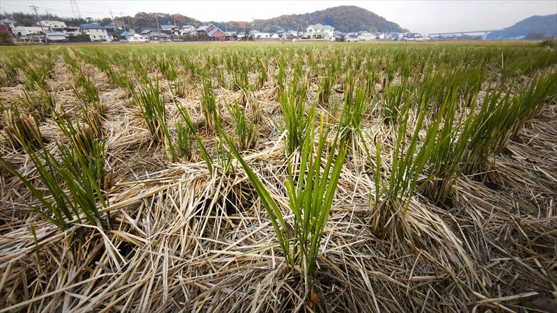 美嚢川と三木鉄道跡