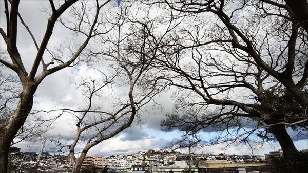 教職課程の認定